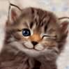 mayvang's Avatar